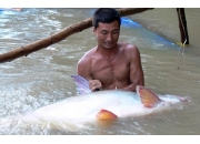 BÀI 6 : BÚN NỀN ĐỂ PHA TINH MÙI