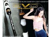 PIONEER EVO