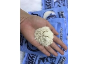  BỘT DỤ CÁ MAYME