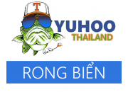 RONG BIỂN
