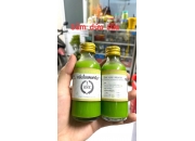 SỮA  SÂM DỨA | MỒI CÂU CÁ